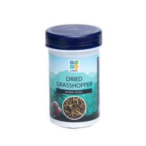 Leas Dried Grasshopper