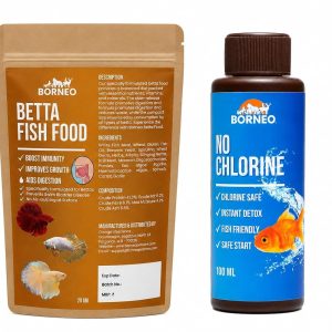 Betta Starter Combo