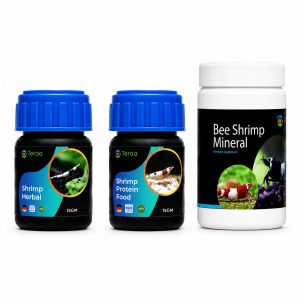 Caridina Shrimp Starter Combo