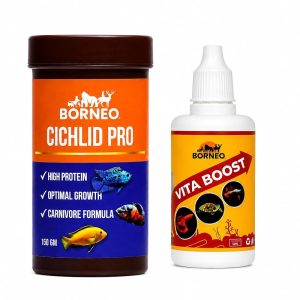 Cichlid Combo