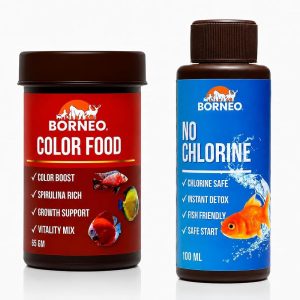 Starter Care Combo