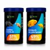 Yellow Cichlid Combo