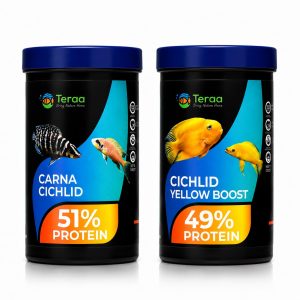 Yellow Cichlid Combo